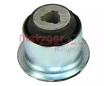 metzger-52023908