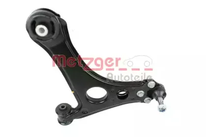 metzger-58082402