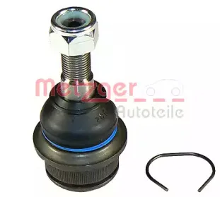 metzger-87002608