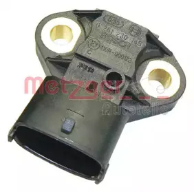 metzger-0905405