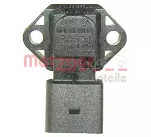 metzger-0906092