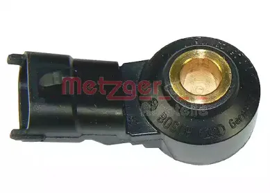 metzger-0907029