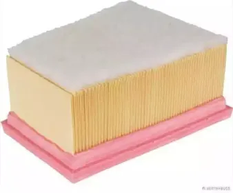 magnetimarelli-600000030550
