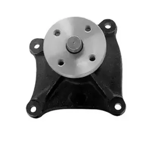 352316170595 MAGNETI MARELLI Водяной насос