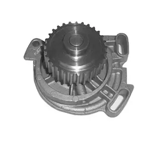 352316171179 MAGNETI MARELLI Водяной насос
