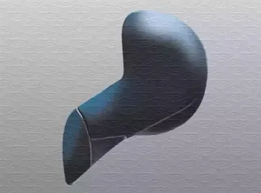 351990009130 MAGNETI MARELLI Наружное зеркало