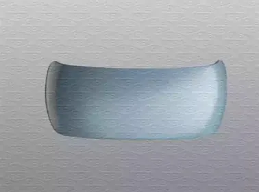 351991202250 MAGNETI MARELLI Покрытие, внешнее зеркало