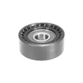 331316170101 MAGNETI MARELLI Натяжной ролик, поликлиновойремень