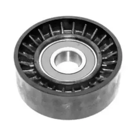 331316170252 MAGNETI MARELLI Натяжной ролик, поликлиновойремень