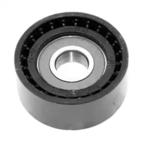 331316170256 MAGNETI MARELLI Натяжной ролик, поликлиновойремень